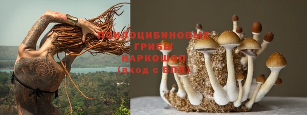 эйфоретик Алексеевка