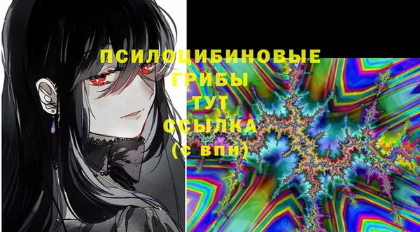стаф Абдулино