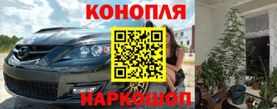 крисы Лесосибирск